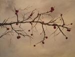 Winter_Berries.339111937_std