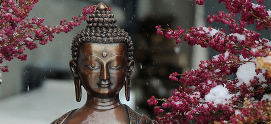 winterbuddha 2